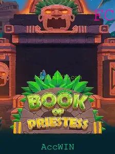 BookOfPriestess: Um Mergulho Profundo no Novo Fenômeno dos Jogos